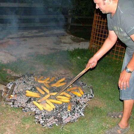 Krška Vas Tourist Farm Pri Martinovihヴィラ エクステリア 写真