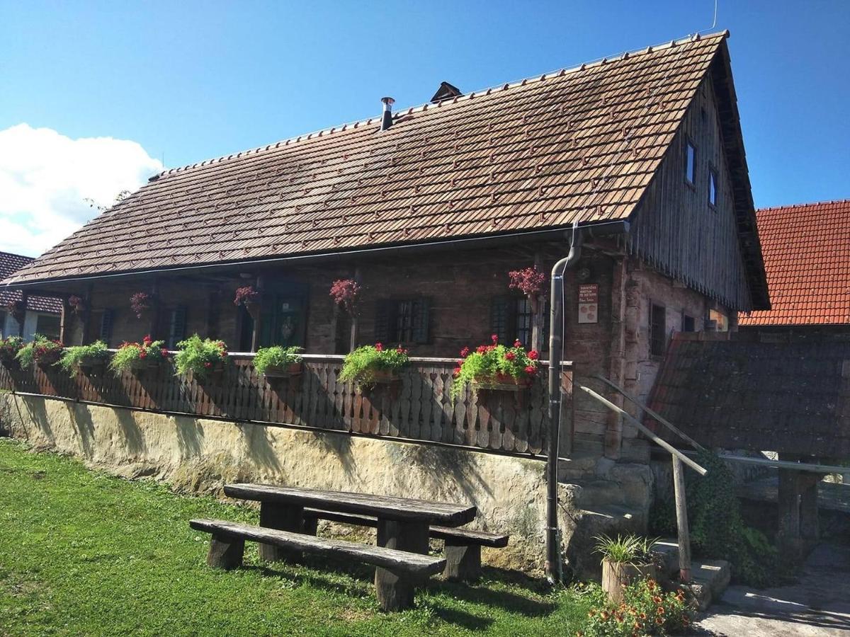 Krška Vas Tourist Farm Pri Martinovihヴィラ エクステリア 写真