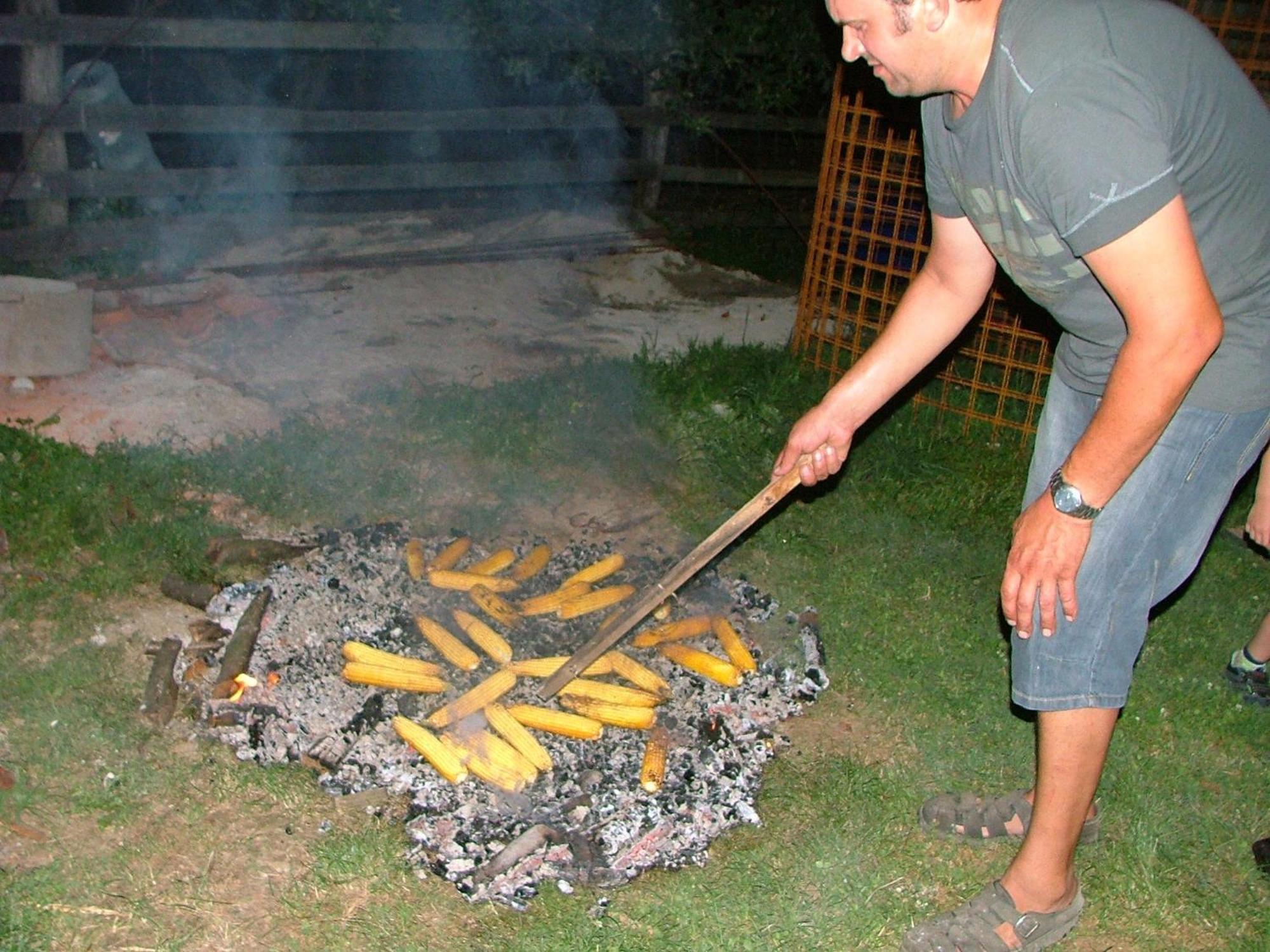 Krška Vas Tourist Farm Pri Martinovihヴィラ エクステリア 写真