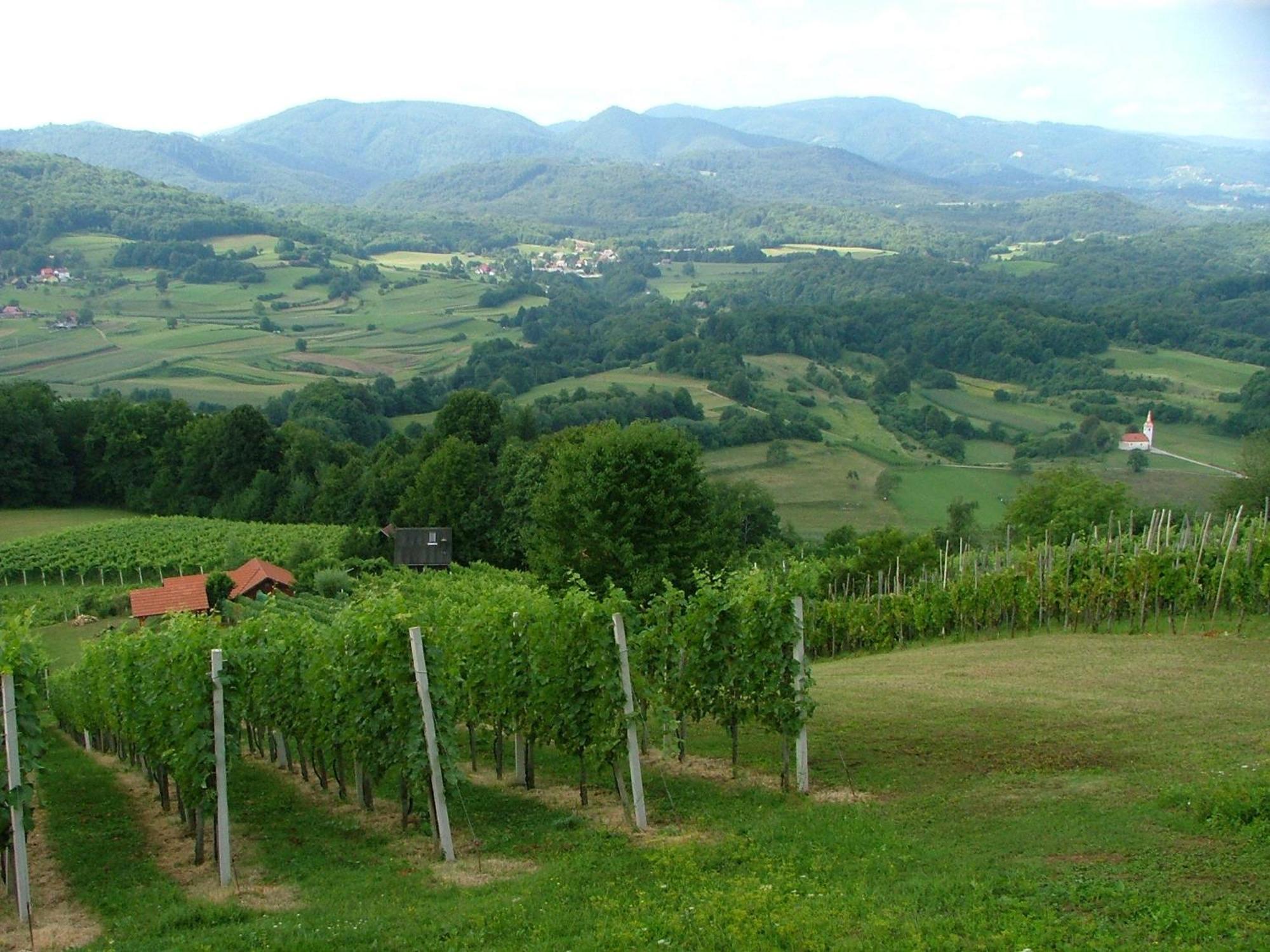 Krška Vas Tourist Farm Pri Martinovihヴィラ エクステリア 写真