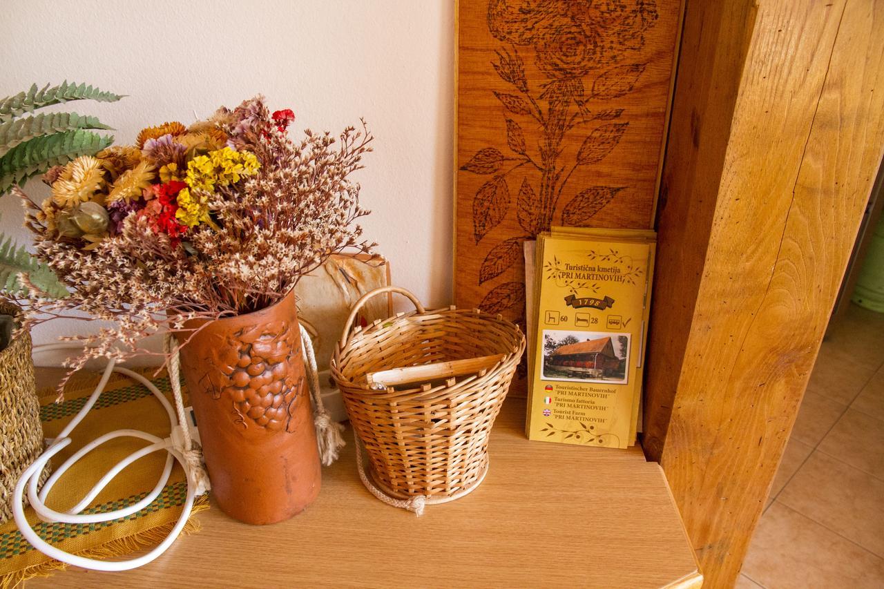 Krška Vas Tourist Farm Pri Martinovihヴィラ エクステリア 写真